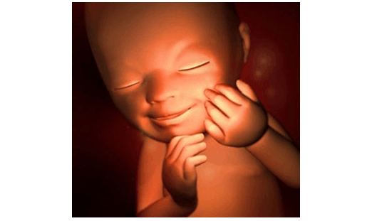 生出聪明宝宝, 孕妇饮食营养注意"三补"