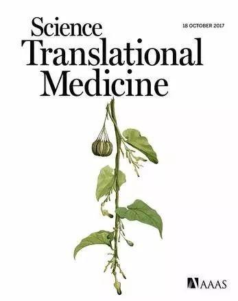 89种中药易致肝癌, 赶紧查查家里的药箱里有没有