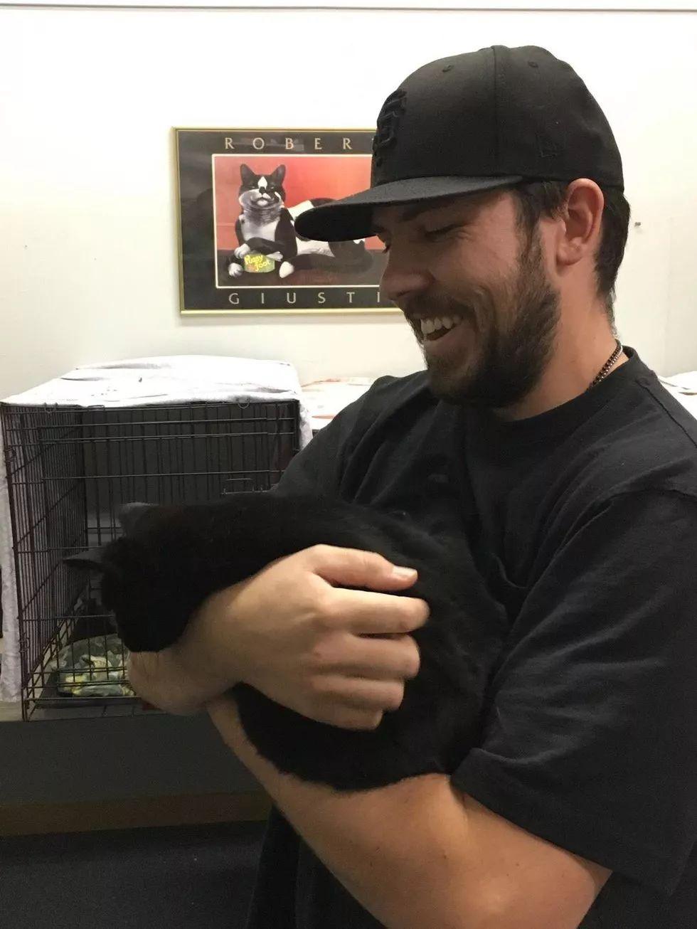 加州大火中走失的两只猫咪终与主人团聚, 这就是圣诞节奇迹吧!