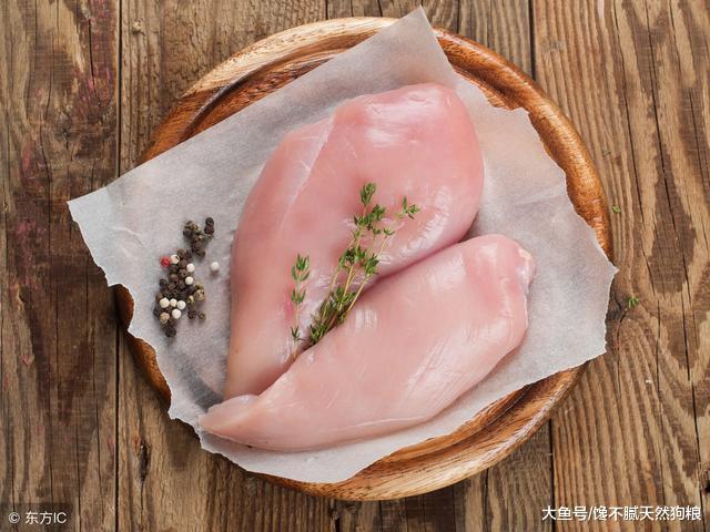 养狗小知识: 贵宾犬除了吃狗粮, 也能吃的5种食物!