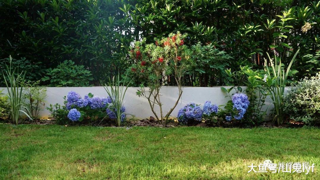 堂前摇曳满庭花, 一个简约美园如何诞生的----2018年花园设计指南