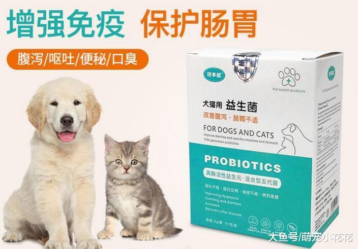 狗狗便便很臭是怎么回事?