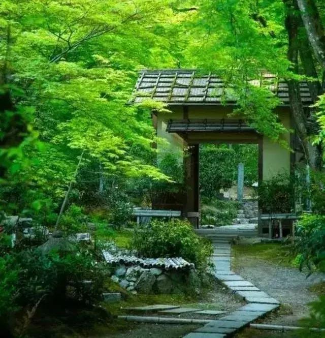 我想有个庭院, 作个闲人, 对一张琴, 一壶酒, 一溪云