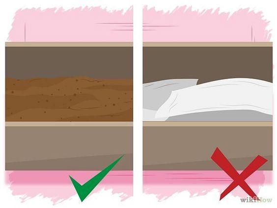 这种公认的入门陆龟, 养起来好费钱