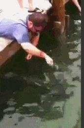 爆笑GIF: 本来想耍个漂移的, 结果掉沟里了