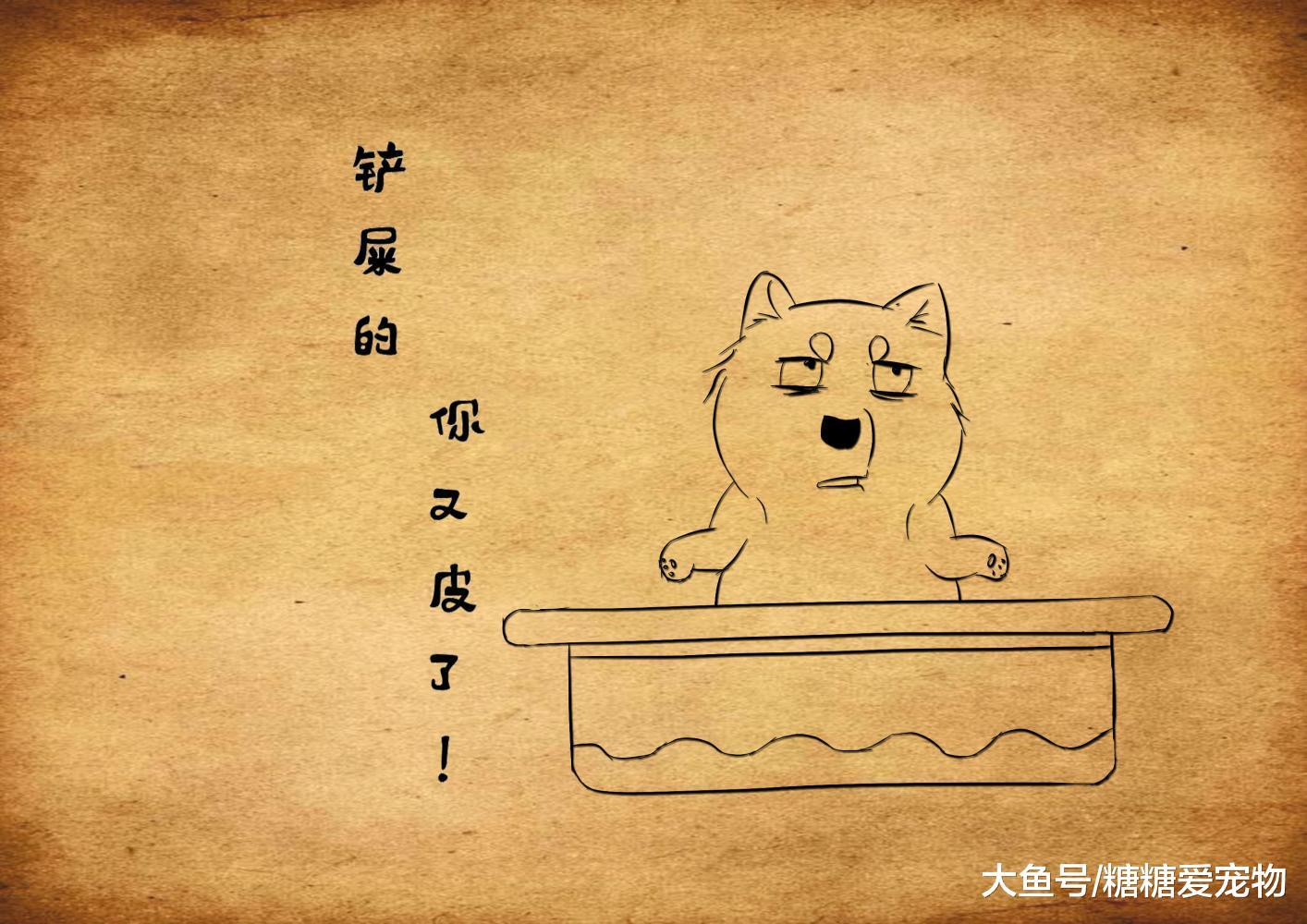 主人假装要做狗肉汤, 结果狗子的反应笑喷了, 狗: 你是认真的吗?