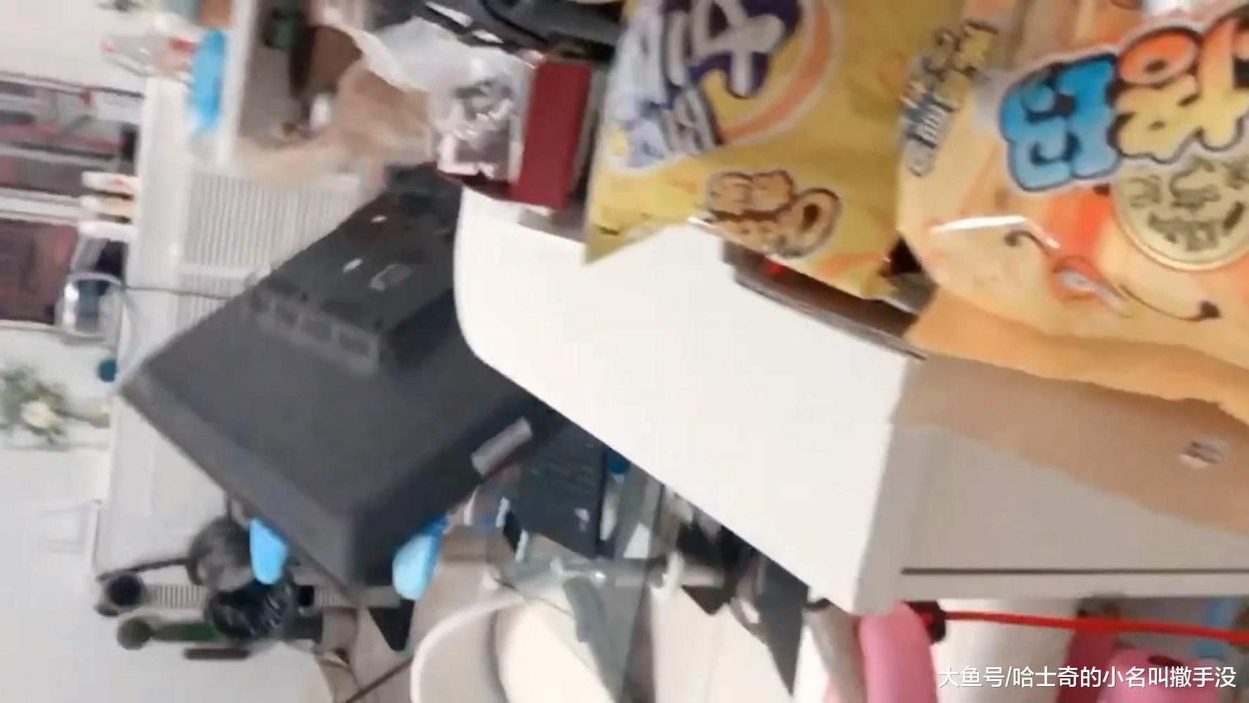 猫大哥, 你把我的电视机摔了也就算了, 凌晨一点能不能让我睡会 ?