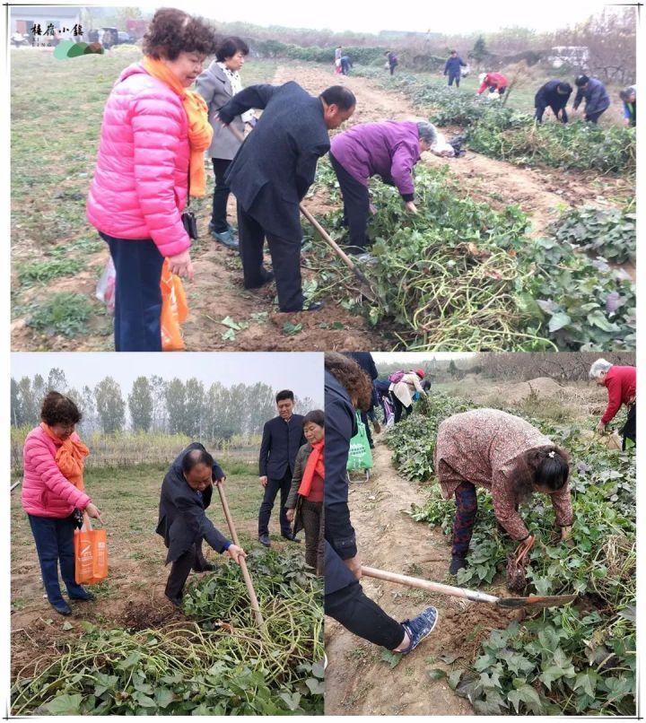 初冬享暖阳 橲岭送健康