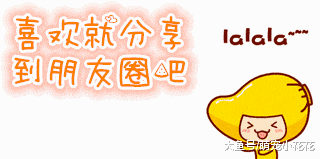 养狗千万别养拉布拉多犬, 它会毁掉你的生活, 曝光它的罪行!