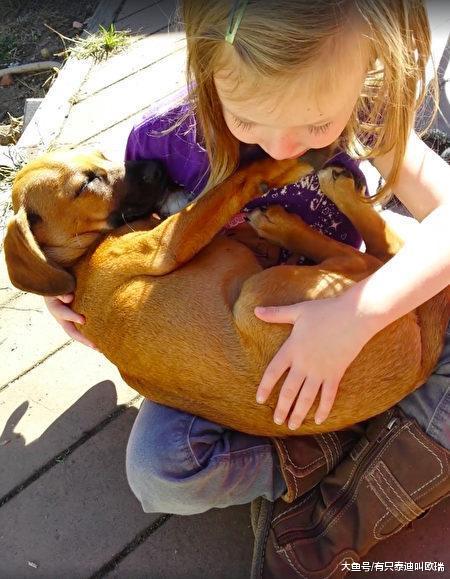 小主人把浪浪轻柔抱怀中「唱摇篮曲」, 「浪浪反应温馨暖炸」网友被感动捐11万救更多狗狗!