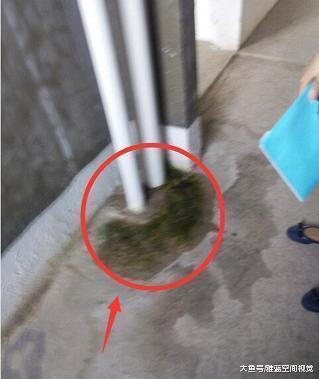 毛坯房装修一定要当心这5大猫腻, 我家差点被骗完所有钱!