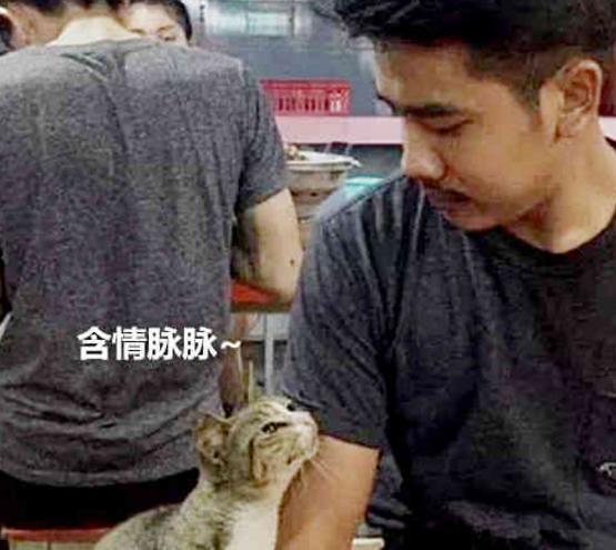 大猫向客人讨要吃的, 啥都没有还被白摸了两下, 表情立马变了!