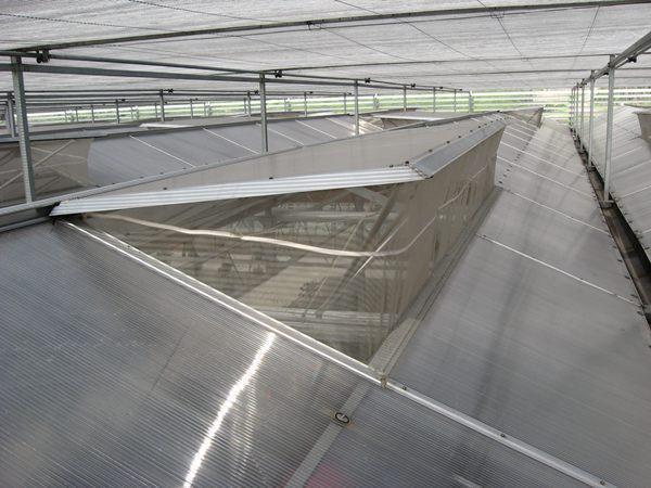 现代化连栋温室, 成为越来越多人的选择, 但你真的懂吗?