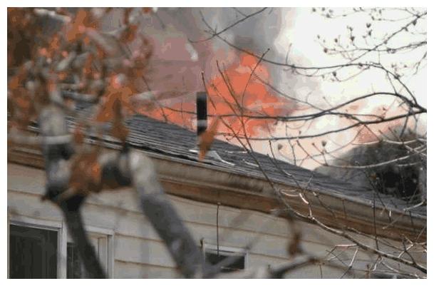 屋内火灾浓烟滚滚, 狗狗依旧冲进去, 它的心思很朴实!