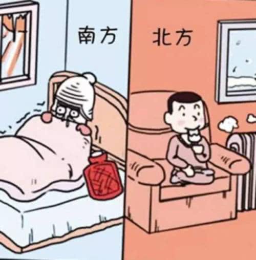 安利5款冬日温暖家居小物, 最后一款铲屎官福利