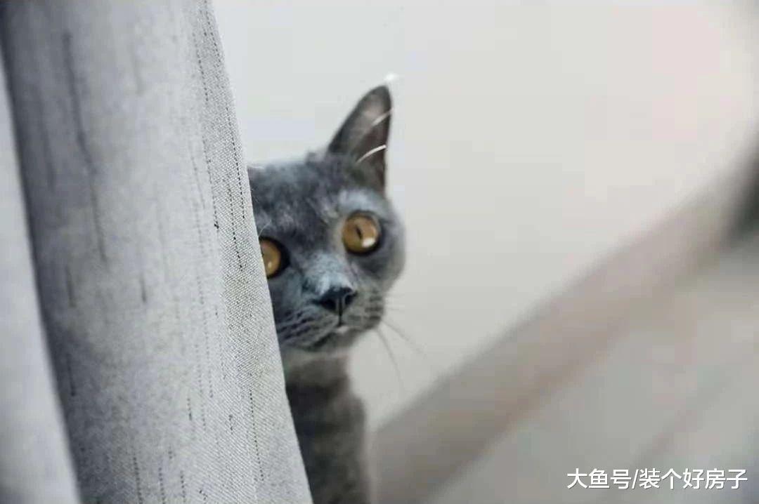 一对85后夫妻断舍离上瘾, 121㎡的家只有9件家具, 厨房和阳台也藏起来