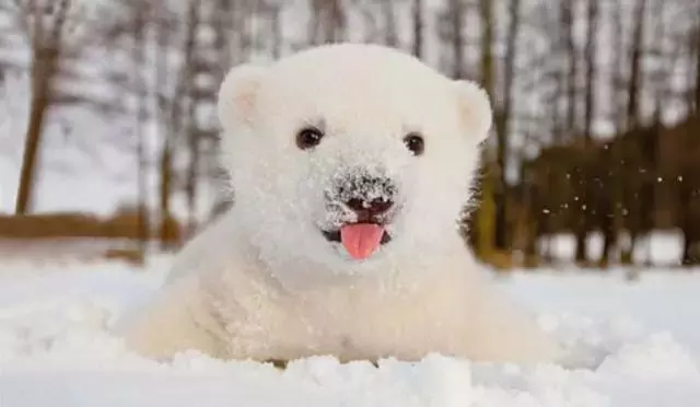 2019, 你们一定都要好好的!