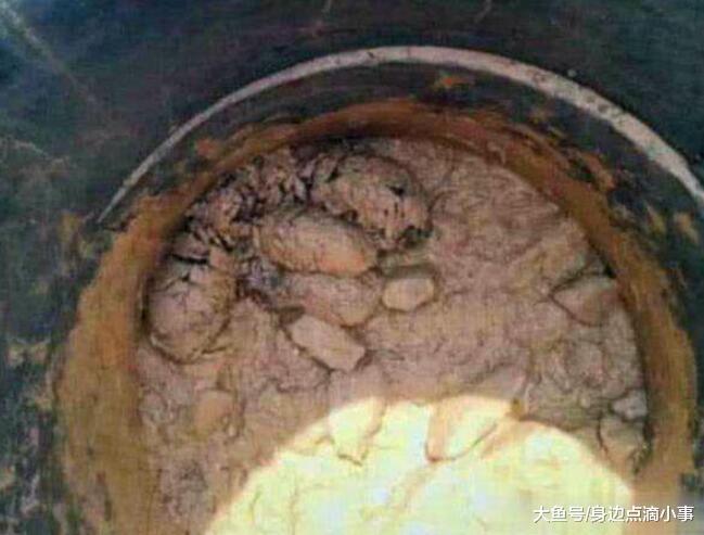 工地泥潭中捡到5只幼犬, 结果带回家洗干净后喜获一支“拆迁队”