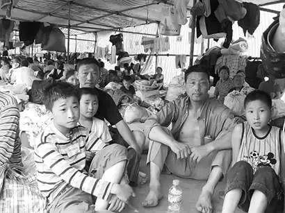 10年, 我们一直欠这只小土狗一声“对不起”!