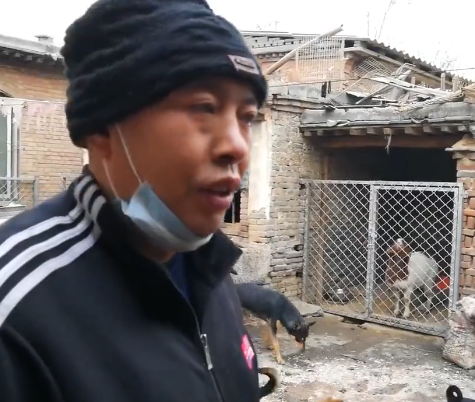 第二站, 河北石家庄, 200多条流浪狗, 5000多斤粮食