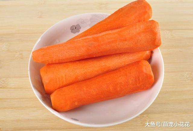 如果柯基犬有这5个表现, 祝贺你, 狗狗非常健康!