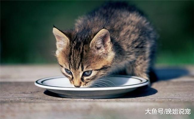 那些贪吃的动物们, 图四把窗户卸了, 图二看着不“忍心”