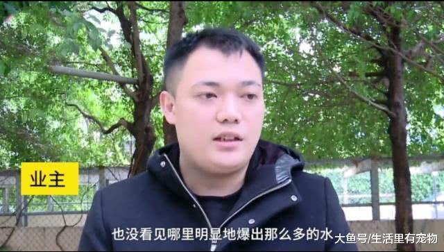 小区漏水八万吨, 物业要求业主平摊, 物业: 费用太高承担不起!