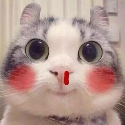 猫穷三代, 还穷开心~别看了说的就是你