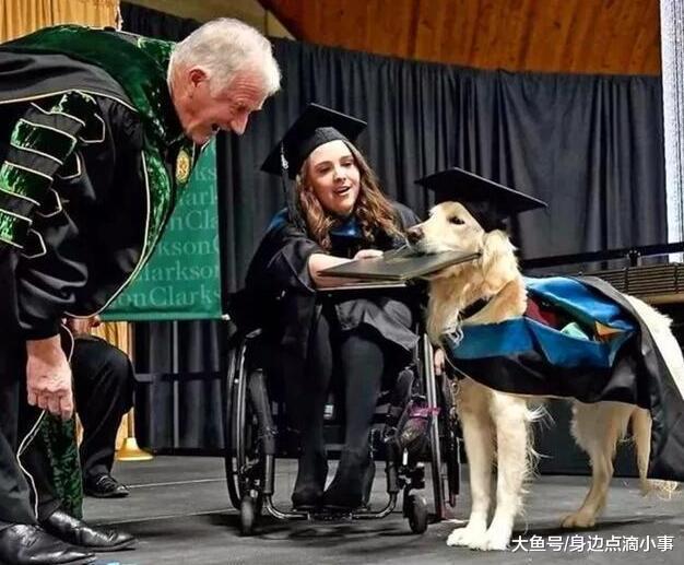 金毛陪主人顺利读完学业, 学校为表彰它决定授予它学位