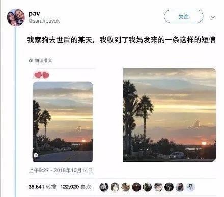 听说狗狗去世后都会变成天上的云