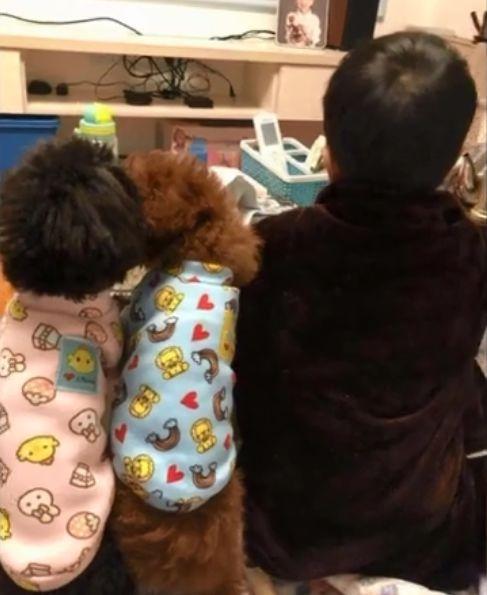 不小心踹到狗, 小男孩抱狗痛哭: “你骨折没, 让哥哥看看”