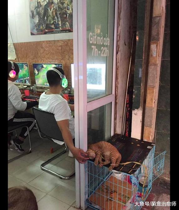 网吧里养了只猫, 导致靠近门边的座位特别受欢迎, 因为可以撸猫!