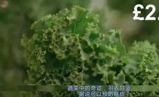 水煮西兰花并不健康? 保健品有害身体? BBC告诉你养生保健真相