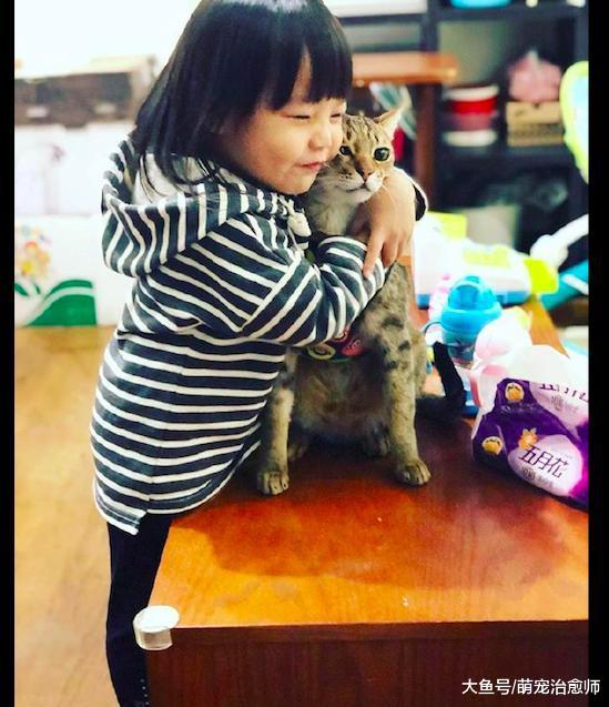 女儿对猫又抱又亲, 博美在旁边委屈看着: 我是不是你最疼爱的狗?
