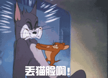 猫咪看见对面有老鼠, 毫不犹豫就冲过去可最后这结局是怎么回事?