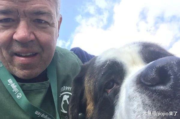 圣伯纳秒变“仙人掌”! 不自量力2次追逐豪猪终得教训