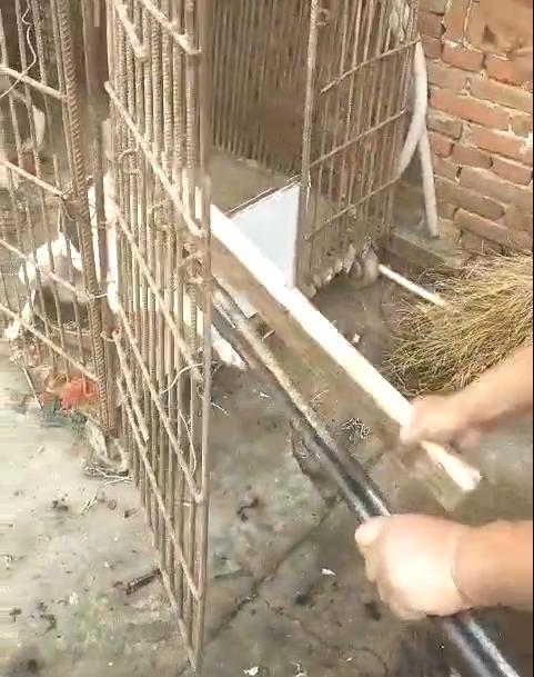 又到吃狗肉的季节了, 这样的手法你看的下去?