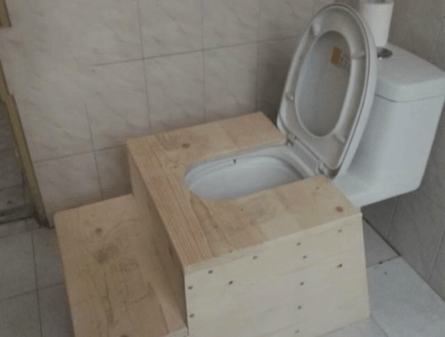 等我有钱, 就把蹲坑扔了, 现流行这样“装”, 太讲究了