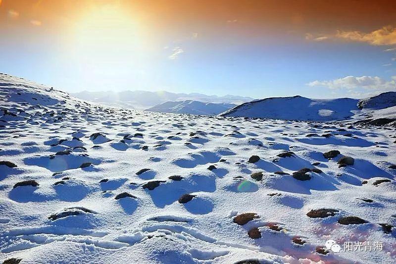 当青海的秋遇见雪