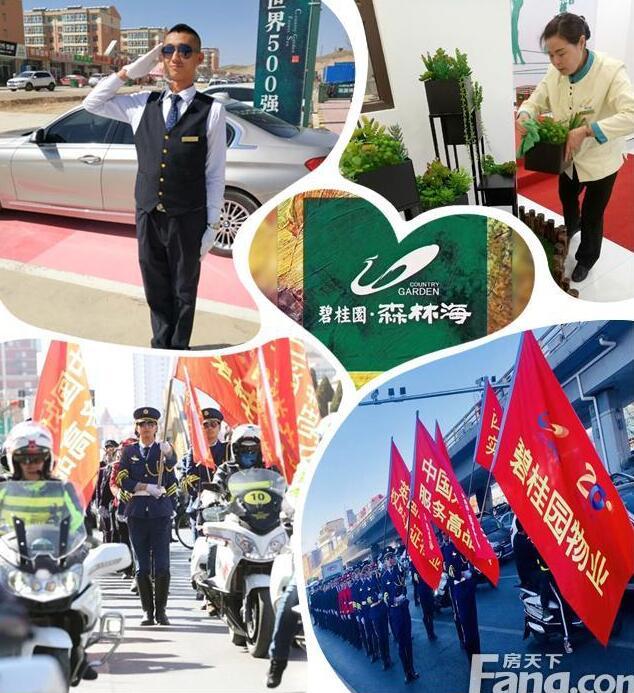 楼市黄金段张家口市场低靡 但这个项目却＂锋芒毕露＂