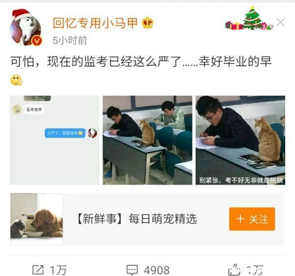 大学里的猫咪“监考官”火了! 瞬间成网红