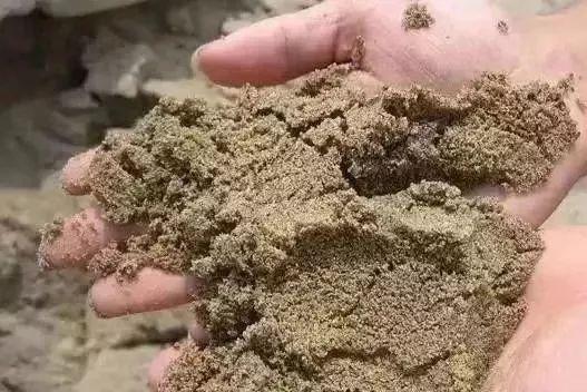 年后装修? NO! 你知道年前装修能省多少钱吗?