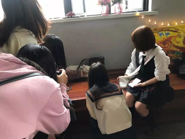 小白猫被弃养后患上抑郁症, 被暖心姑娘收养后, 猫咪体重翻番!