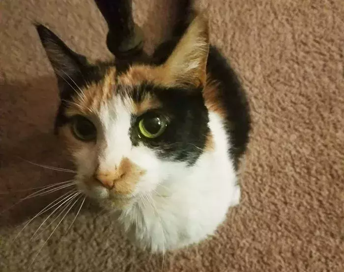 “我先走啦! 留了封信给你, 记得看哦。”