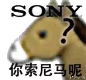 有人说养宠物就是不孝, 看看这些网友的回复是怎么打脸的吧