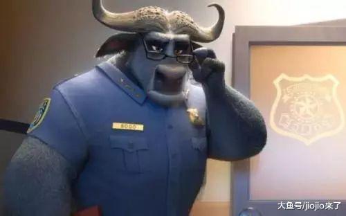 牛怎么可以这么可爱! 小短腿加毛茸茸的外表, 数万网友欲罢不能!