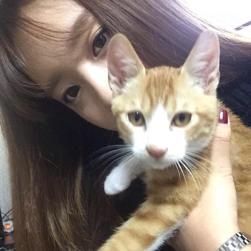 女生喜欢养猫不爱谈恋爱? 猫比男人更懂女人, 男生们好好看好好学