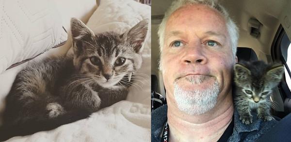 小猫四肢被涂胶水黏在马路上动弹不得, 驾驶员下车改变它的一生