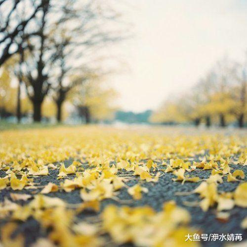 秋风起, 方知冬已近