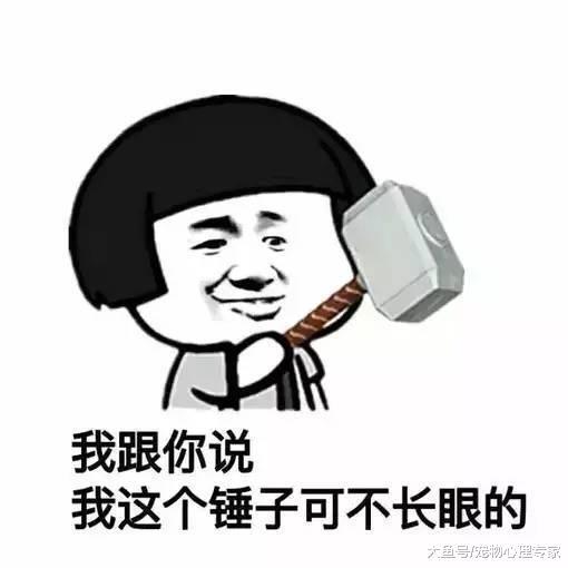 二哈犯错屡教不改, 这次更是弄坏了手办, 铲屎官气得拿出“金箍”